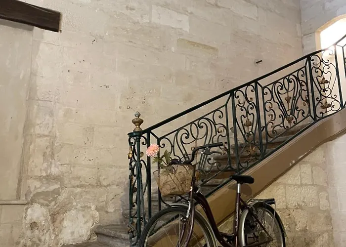 A Ne Pas Manquer Studio Plein Coeur D Avignon