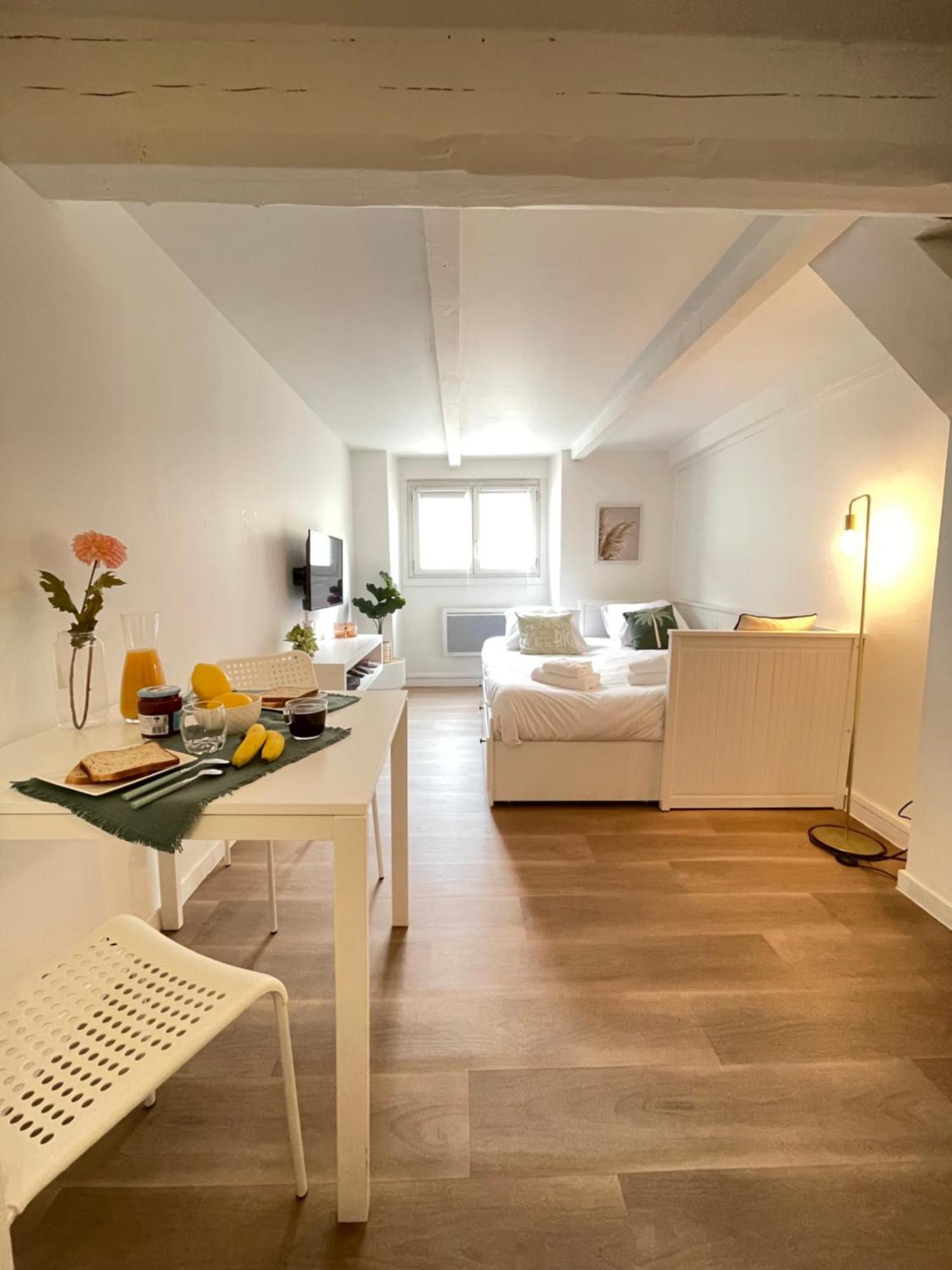 Apartment A Ne Pas Manquer Plein Coeur D